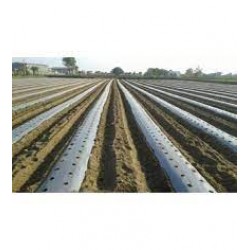 Agrosun 1 METER x 400 METER x 25 MICRON Mulch Film                                                                             