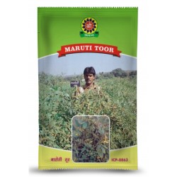 Shree Maruti Tur Seeds - ICP 8863 