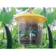 Barrix Catch Vegetable Fly Trap