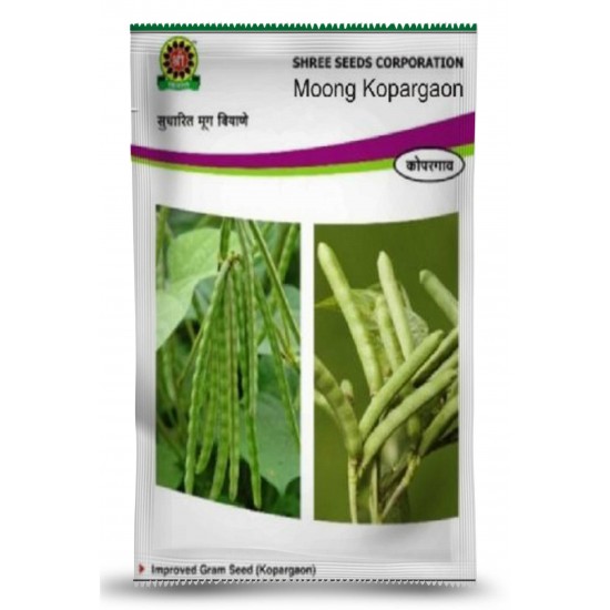 Shree Moong - Green Gram Seeds