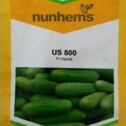 Cucumber US 800 F1