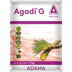 Adama AGADI - G 1 Kg 