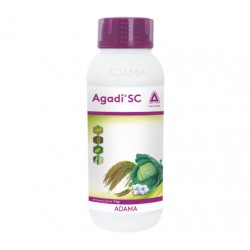 Adama AGADI  SC 1 Kg 