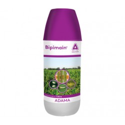 Adama BIPIMAIN 