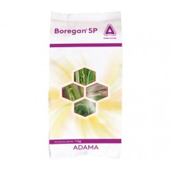 Adama BOREGAN SP