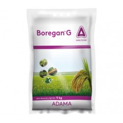 Adama BOREGAN GR  