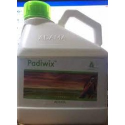 Adama PADIWIX