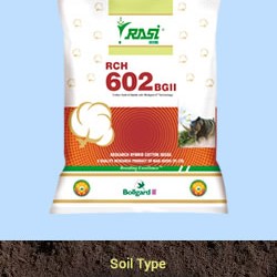 Cotton Seed RASI 602 BG II