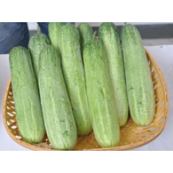 Ankur Hybrid Cucumber Ragini Vegetable Seeds- 25 GRM