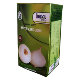 White Marglobe Onion Jindal Seeds 