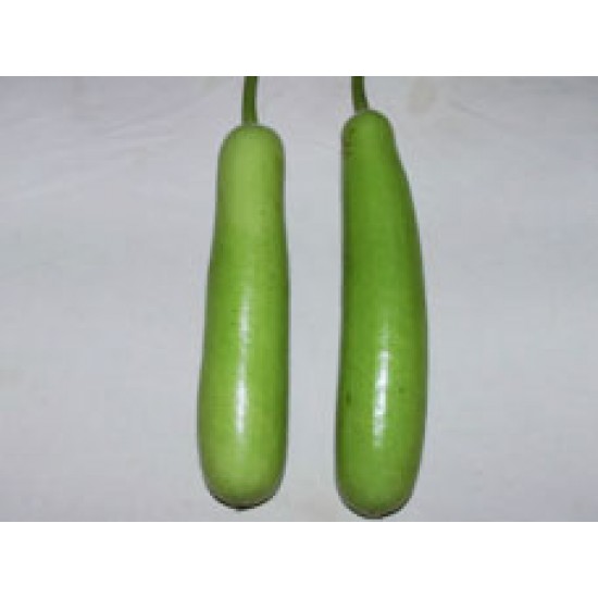 Ankur Hybrid Bottle gourd- Amit (10g) Vegetable Seeds