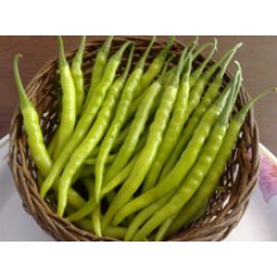 Ankur Hybrid  Chilly ARCH – 930  (10 g ) - Vegetable Seeds 