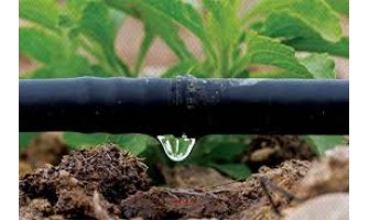 India should use Israeli model of drip irrigation system; suggests Indian expert