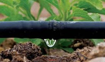 India should use Israeli model of drip irrigation system; suggests Indian expert