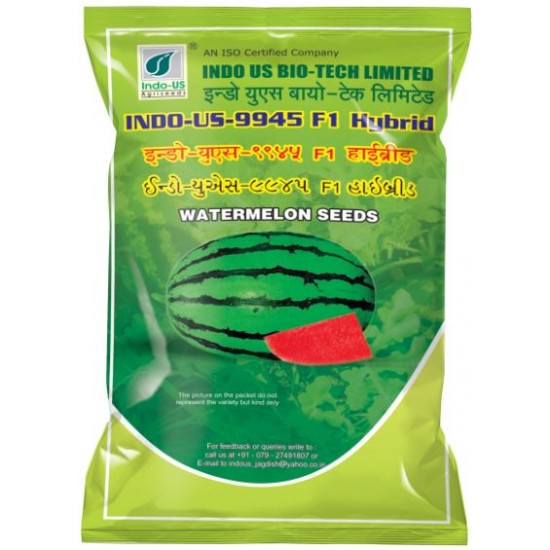 Indo US 9945 F1 Hy Watermelon Seeds