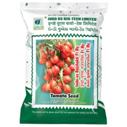 INDO-US RAJSHAKTI F1 HY TOMATO