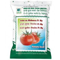 INDO-US RICHNESH F1 HY TOMATO