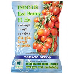 INDO-US-RED BEAUTY F1 HY TOMATO