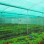 Agro Shed Nets | Green Nets