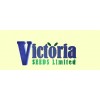 Victroia Flower Seeds