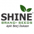 Shine Brand Seed