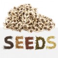 Other Seeds