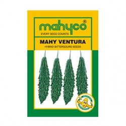 mahyco BITTERGOURD VENTURA (50g)