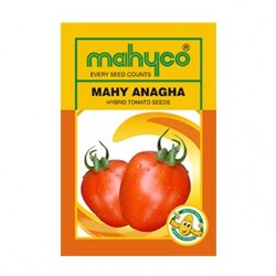 Mahyco tomato ANAGHA (10g) Vegetable Seeds 