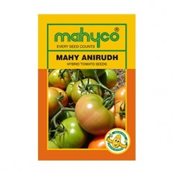 Mahyco tomato ANIRUDH (10g) Vegetable Seeds