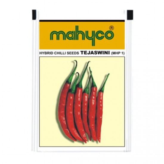Mahyco MHP 1- TEJASWINI (10g) Chilly Vegetable Seeds