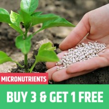Buy 3 units of Micronutrients and get 1 unit Absolutely free !!