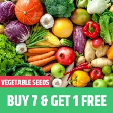Buy 7 units of Vegetable Seeds and get 1 unit Absolutely free !!
