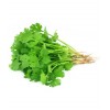 CORIANDER- DHANIA  Vegetable Seeds