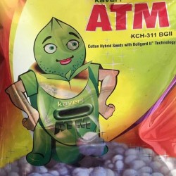 Cotton Seed  Kaveri ATM BG-2