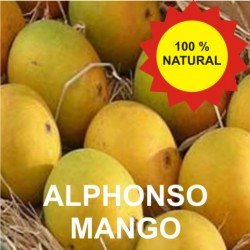 Devgad Alphonso Mango - Hapus - 1 Dozen
