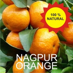 Nagpur Orange - Santra - 3 Kg 