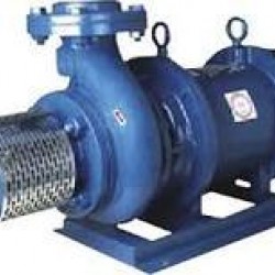 Crompton Greaves Open Well Pump OWNH32 (3HP)