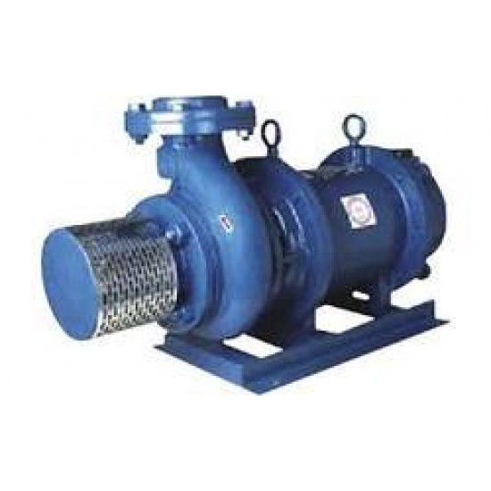 Crompton Greaves Open Well Pump OWNH32 (3HP)