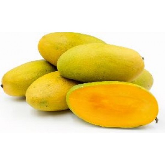 Fresh Dasheri Mango Aam - 1 Dozen