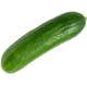 Green Cucumber F1 Hybrid vegetable Seeds