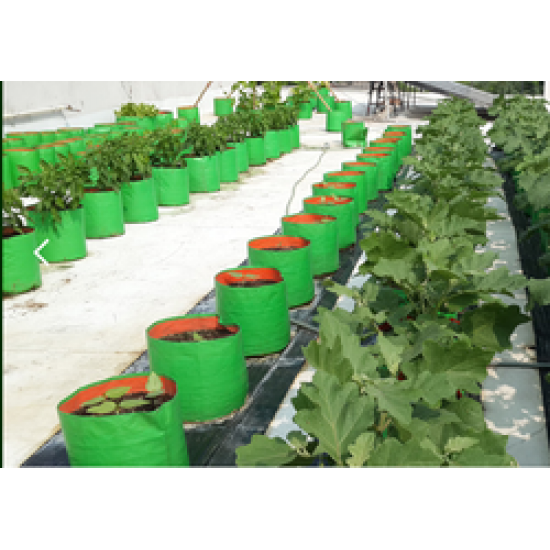 Green HDPE Grow Bags For Terrace Kitchen Garden 24x9