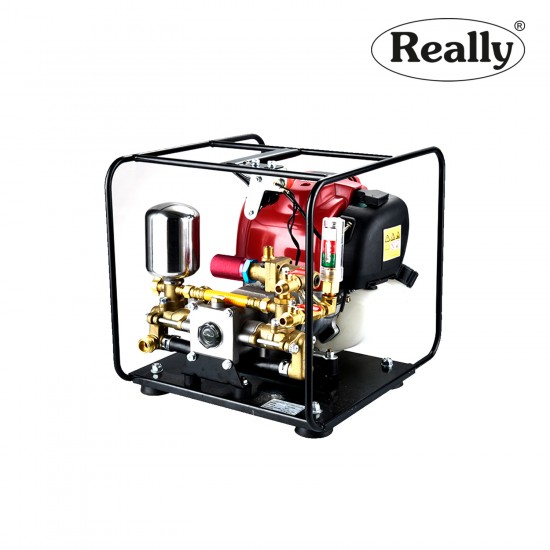 Really RAPL-PPS-35KTS 35CC PROTABLE POWER SPRAYERS