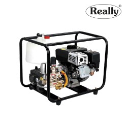 Really RAPL-PS-650D HTP SPRAYERS