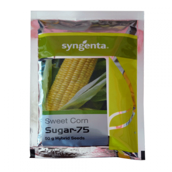 Syngenta Sweet corn