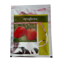 syngenta Tomato (Abhinav)