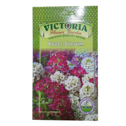 Victoria Sweet Allysum Flower Seed