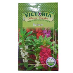 Victoria Balsam Flower Seed