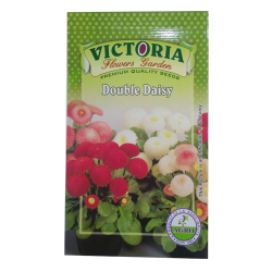 Victoria Double Daisy Flower Seed