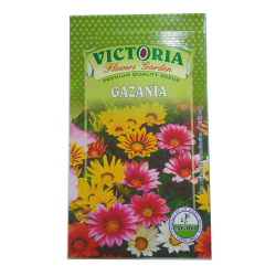Victoria Gazania Flower Seed