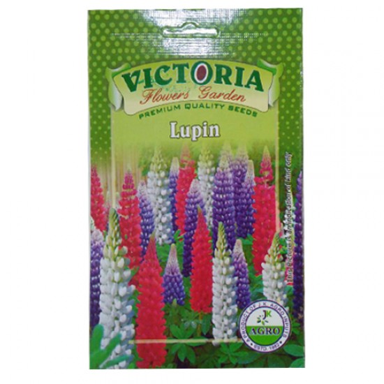 Victoria Lupin Flower Seed